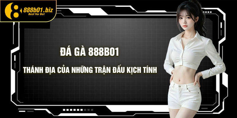 Đá Gà 888b01